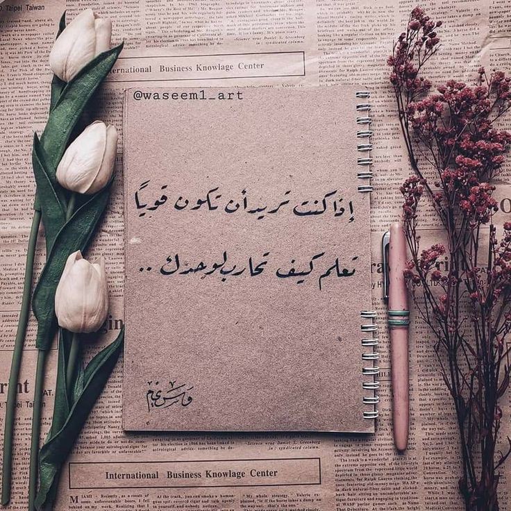 4sinaa's tweet photo. #الخميس_الونيس https://t.co/apMnx0QjZJ