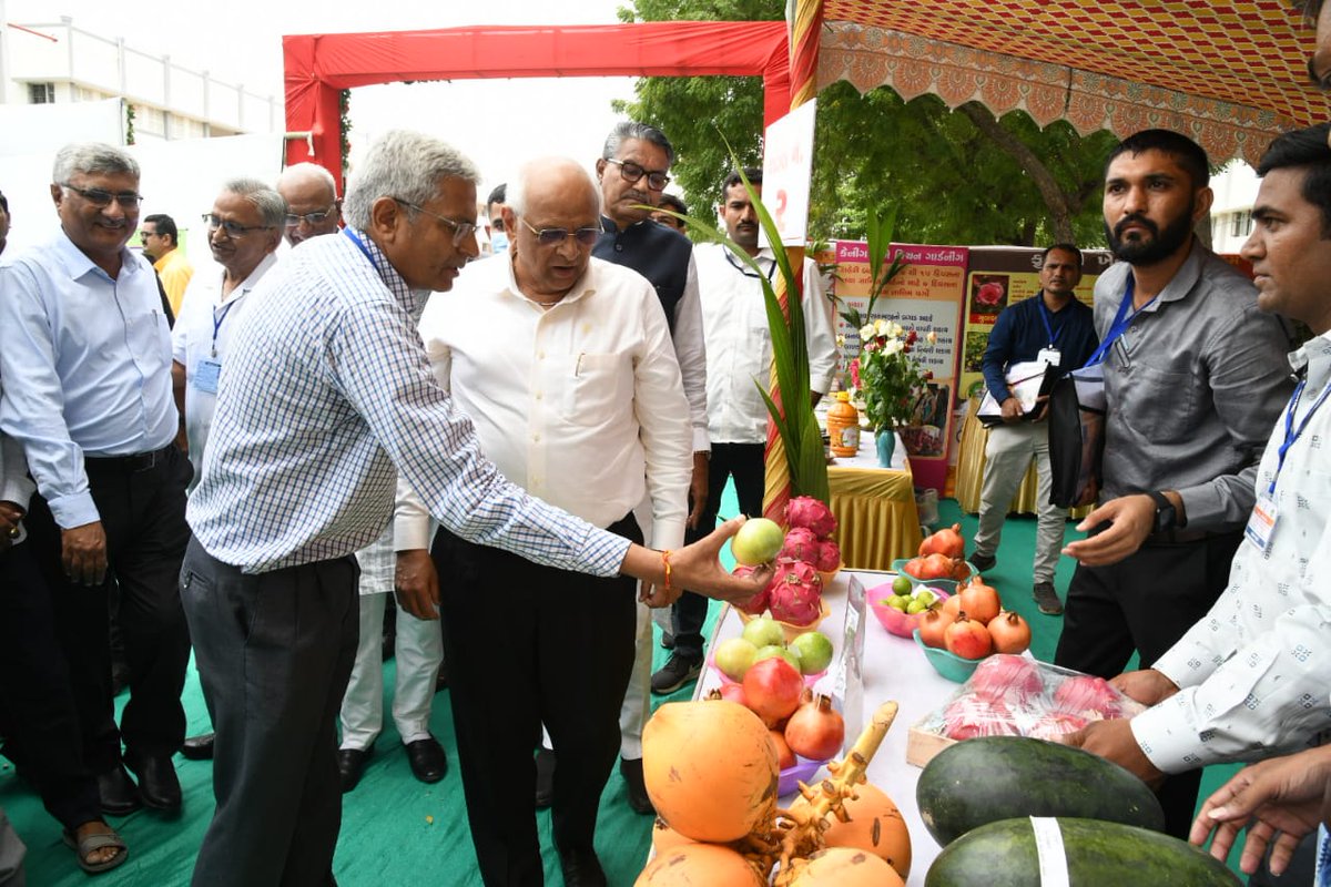 DirectorateofA1's tweet photo. માનનીય મુખ્યમંત્રી શ્રી @Bhupendrapbjp જીએ જામનગરના ધ્રોલ ખાતેથી રાજ્યમાં ૩ સેન્ટર ઓફ એક્સલન્સ ફોર હોર્ટીકલ્ચર તથા ૪ પ્રાઇમરી પ્રોસેસિંગ સેન્ટરના ખાતમુહૂર્ત સાથે બાગાયતી પાકોની વેલ્યુચેઇન ઉભી કરી ખેડૂતોની આવકને બમણી કરવા સંકલ્પ કર્યો https://t.co/M3hSNScDDl