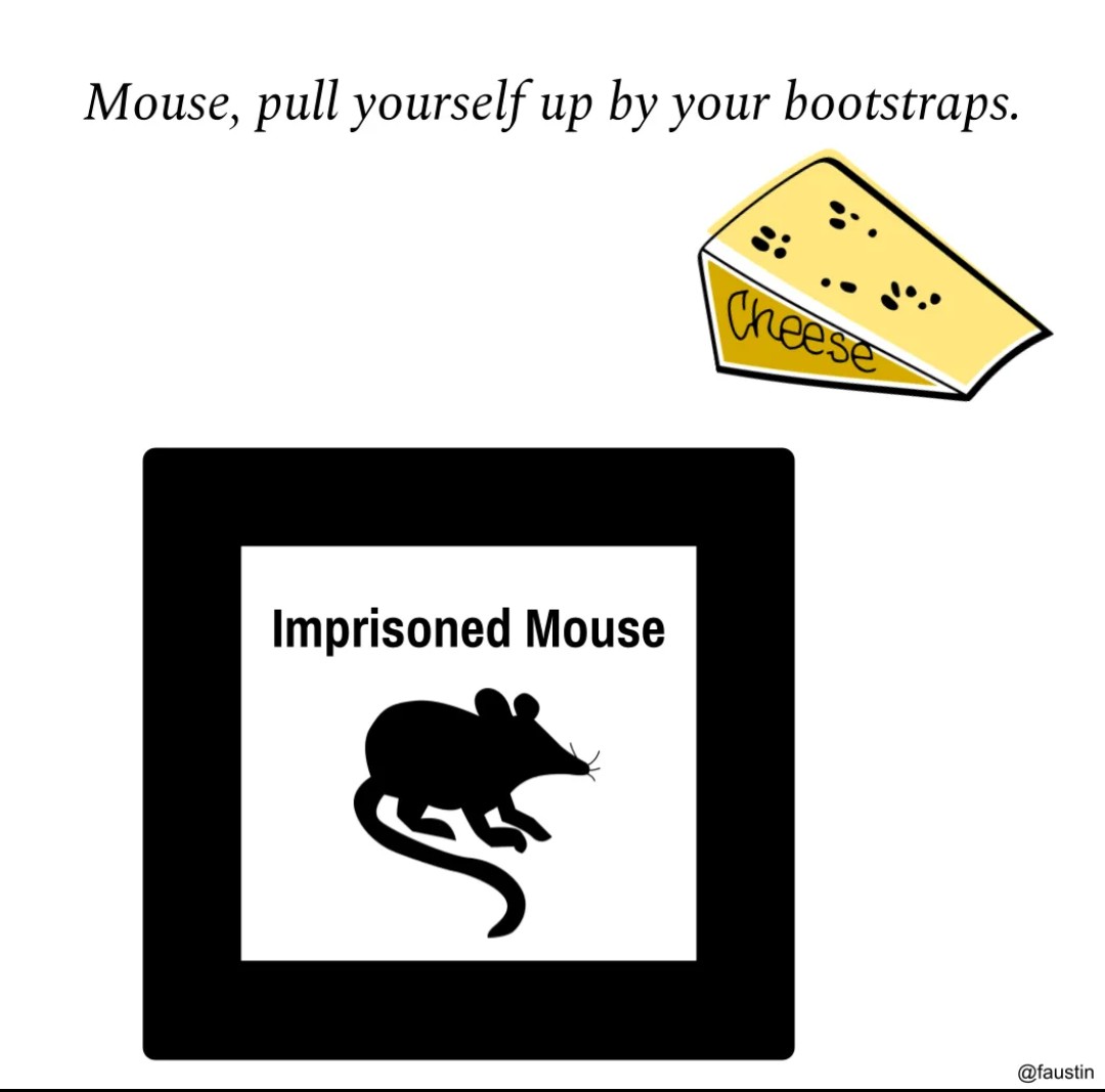 Falan Austin tweet media