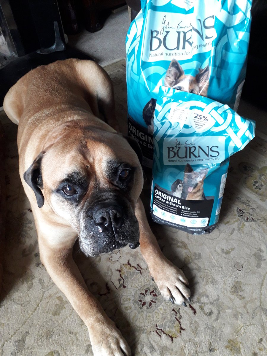 The Pettifor Trust (@pettifortrust) on Twitter photo Everyone meet Tarw. A handsome bull mastiff supported through our 'Keeping People and Pets Together' Project. Sponsored by <a href="/burnspetfood/">Burns Pet Nutrition</a>
#poweredbyburns #backedbyburns #communitysupport #animalwelfare Everyone meet Tarw. A handsome bull mastiff supported through our 'Keeping People and Pets Together' Project. Sponsored by <a href="/burnspetfood/">Burns Pet Nutrition</a>
#poweredbyburns #backedbyburns #communitysupport #animalwelfare