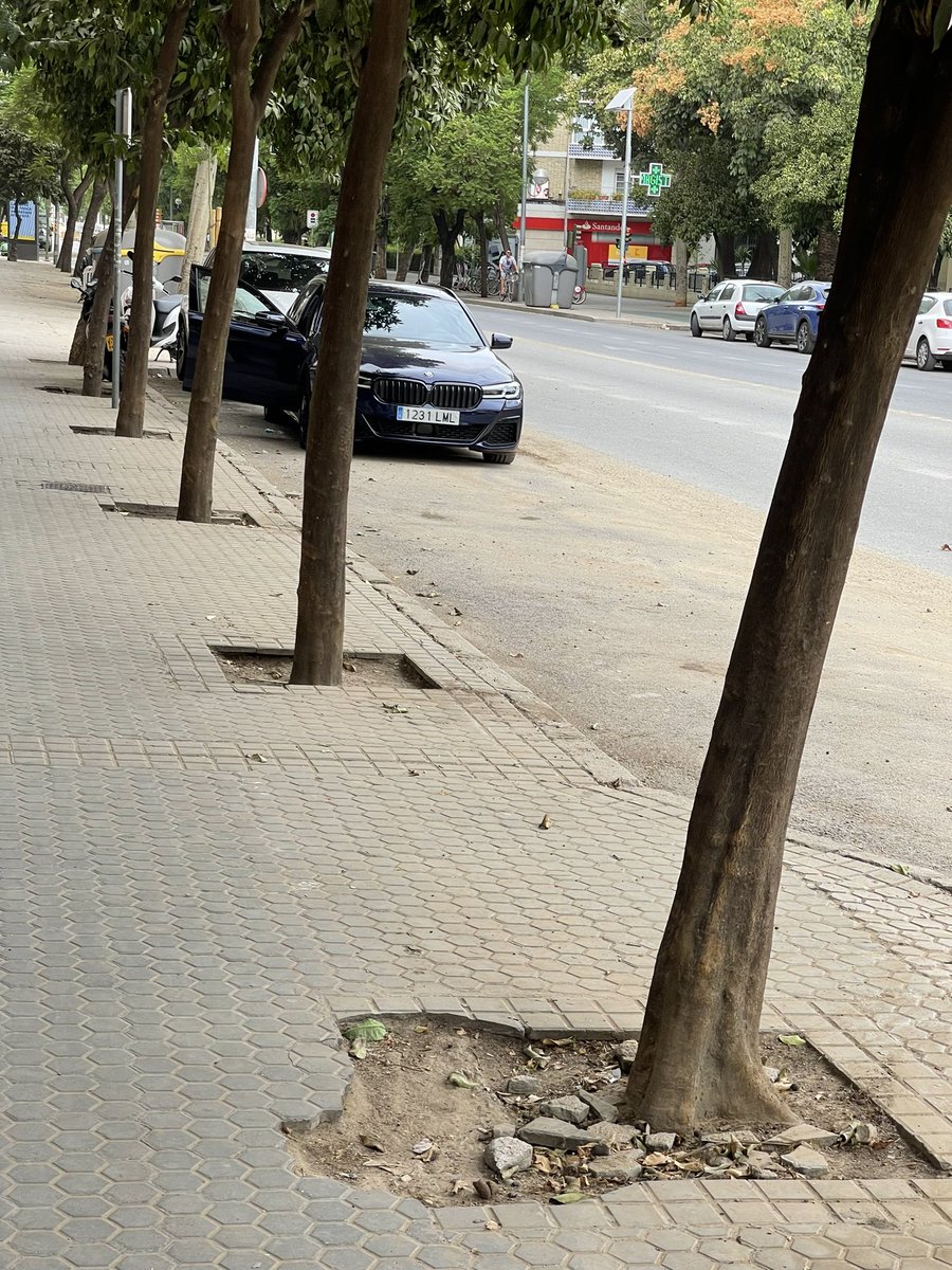 javiergallurt's tweet photo. Hola @Ayto_Sevilla esta es parte de la avenida Ramón y Cajal y no precisamente a la altura de la obra del tranvía, de barro y polvo hasta los ojos ¿Hay alguna manera de dar un baldeito y que no parezca el Paris-Dakar? @LipasamSevilla gracias ! https://t.co/oqW8p9f3yK