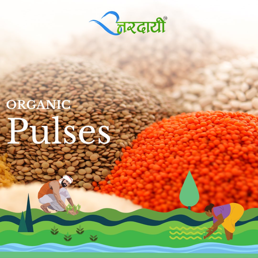 uttardayi's tweet photo. Your future health will be determined by what you put on your food plate today! 🥗/🍔

👉 Just the right time to switch to #organic #pulses since they are part of our everyday menu. 

This #Nationalnutritionweek set the tone of healthy lifestyle with #Uttardayi 

#uttardayilife https://t.co/8rzg8cwG3u