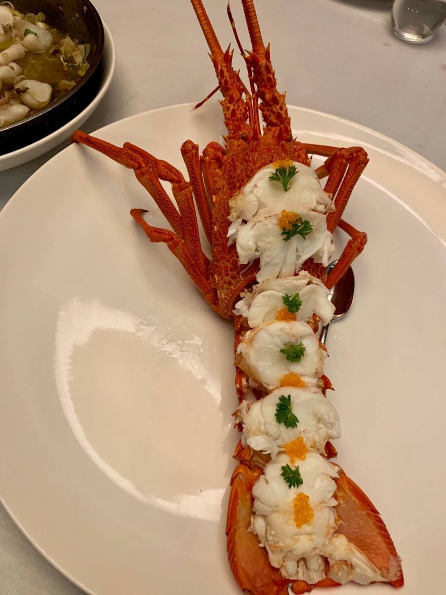 AliceTemplepop's tweet photo. business dinner https://t.co/Ci2OSRxRR9