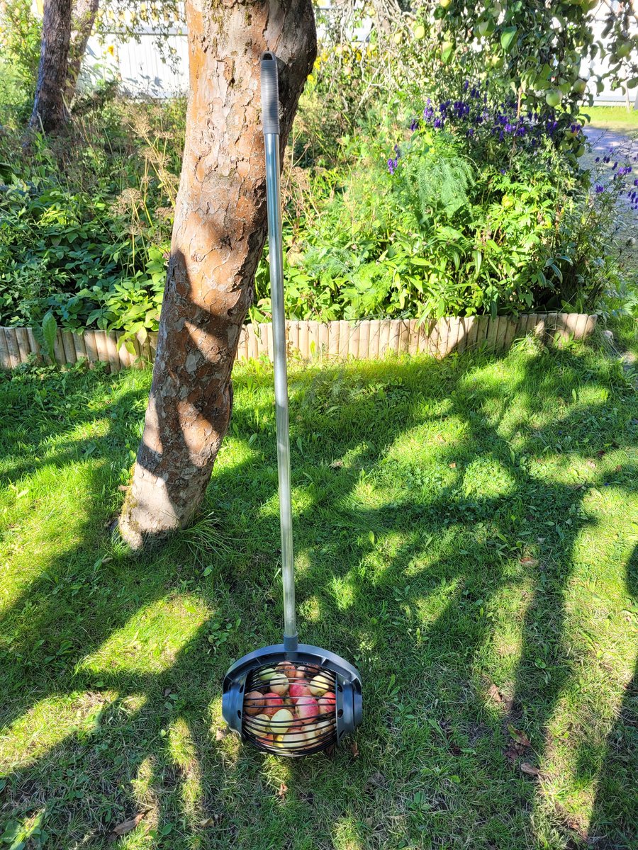 Vaviskaa #pöhötin ja #aromipesä – tässä tulee joka syksyn keskiluokkaisin ja -ikäisin vekotin: omenankerääjä! Kyllä niin kipiää selkää säästää, että!