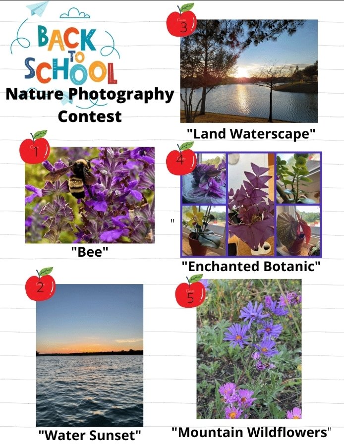 nrjhart's tweet photo. Let the voting begin! Today students will vote on the winner of our Nature Photography contest. Winner will receive a Digital camera!! #ALLIN https://t.co/9ekx0zeaiW