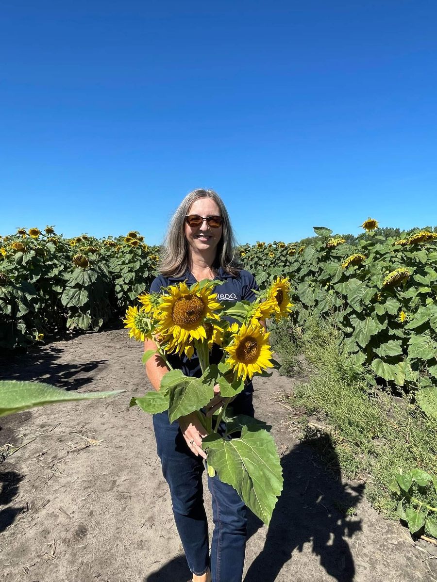 Focusfields's tweet photo. More pics of BDO staff visit to the sunflower field. As polination ends, people have been making smiley faces on the heads by rubbing off the disc florets. They are about to fall off anyway so no damage is being caused to the head. https://t.co/oRtAmMfQqS