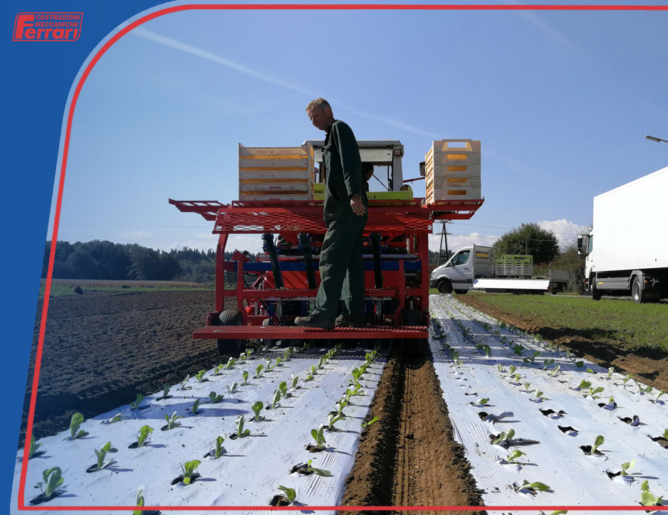 FerrariSrl's tweet photo. #Mulcher and #transplanter with incredible hourly yields. Who are we talking about? It's the #Ferrari FPC machine, a true marvel ➡ https://t.co/uhi1p4DMNf https://t.co/esfLdmFPWa