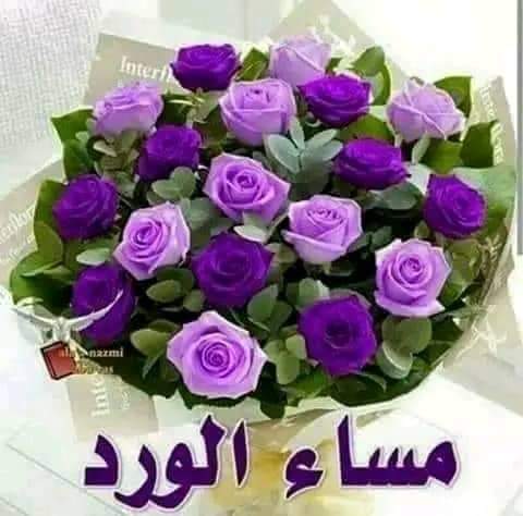 ابوذياد احمد (@ahmdabwdhyad) on Twitter photo 