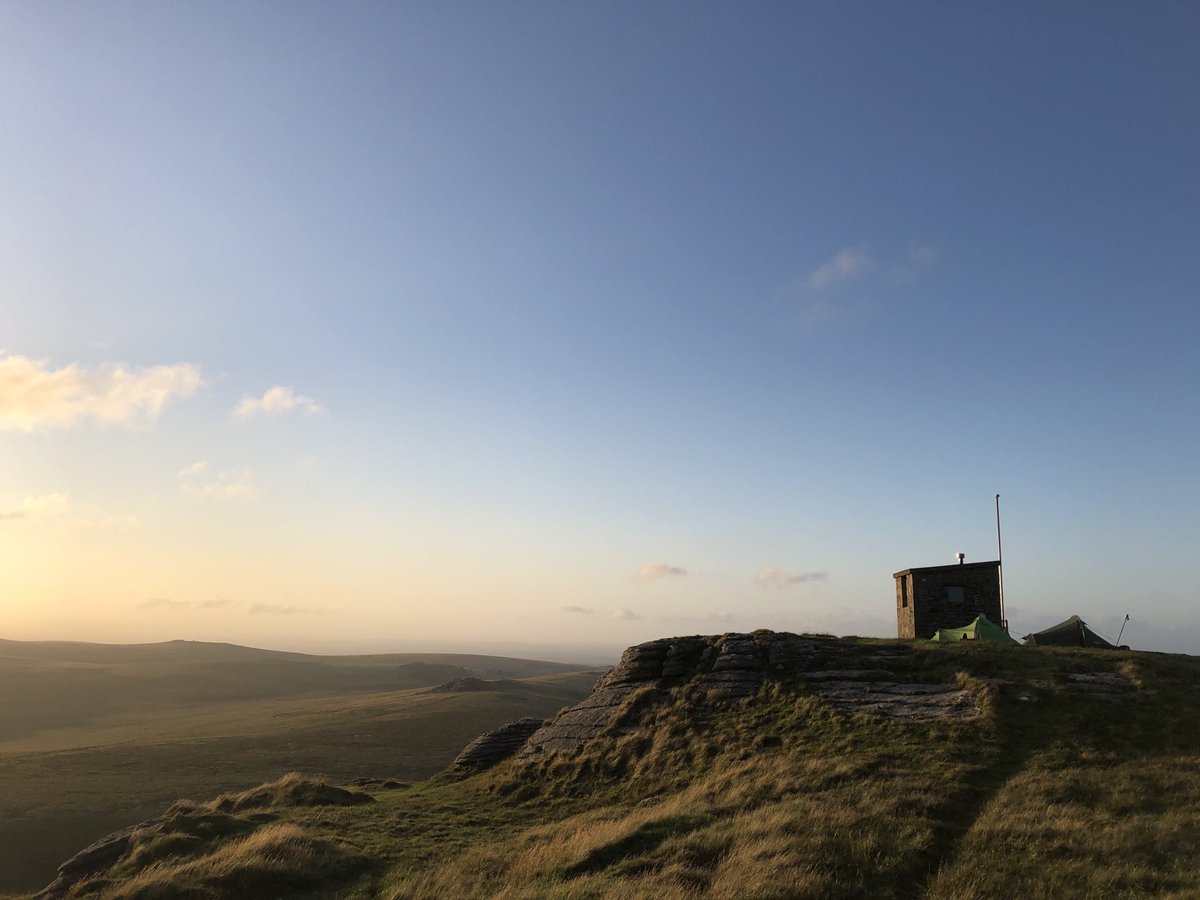 PinkPigeon tweet media