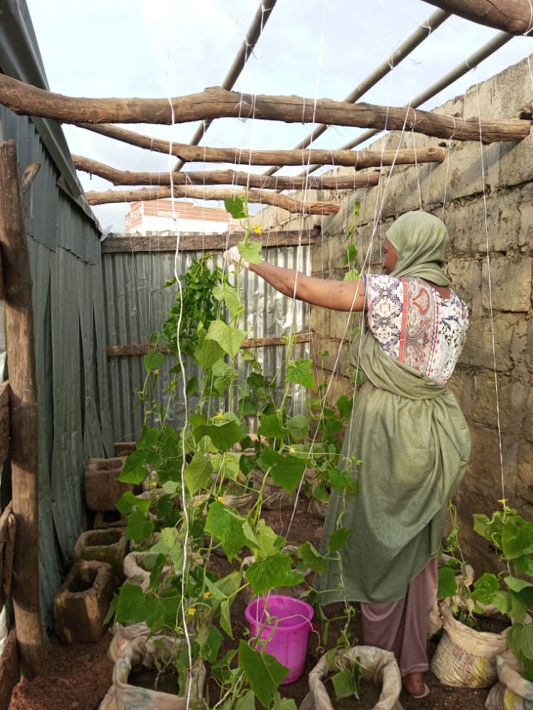 Our trained home farmer staking her plants for better harvest. Thanks to <a href="/FranceInNigeria/">Ambassade de France au Nigéria</a>'s financial support, women are able to cultivate vegetables at their backyards, with this, #foodsecurity is guaranteed and #livelihoods improved. <a href="/EUinNigeria/">EU in Nigeria 🇪🇺🇳🇬</a> <a href="/FAO/">Food and Agriculture Organization</a> <a href="/FeedtheFuture/">Feed the Future</a> <a href="/BillGates/">Bill Gates</a>