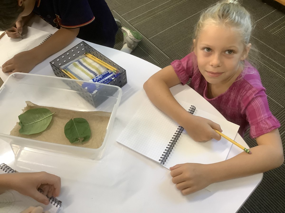 Room7Highlands's tweet photo. Monarch caterpillars at 8 days old and the amazing scientists who are studying them.  #multiage https://t.co/DCLklgBhLb