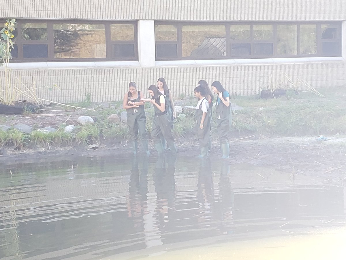 CHSbio's tweet photo. First Day Bond in the Pond 
🎬 Block 2! #APES https://t.co/4b3X7ZdcB0