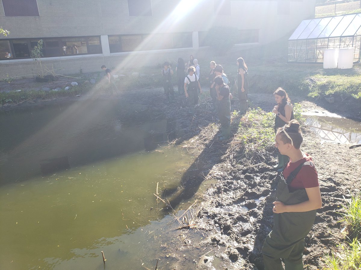CHSbio's tweet photo. First Day Bond in the Pond 
🎬 Block 2! #APES https://t.co/4b3X7ZdcB0