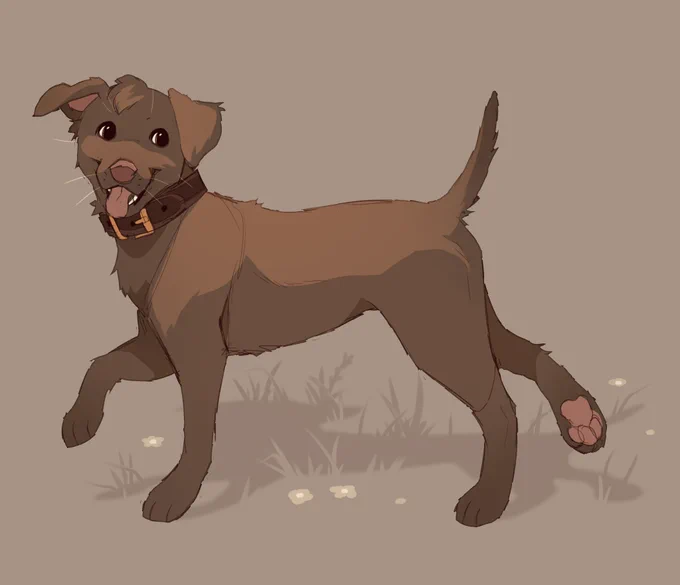 Guppy puppy 