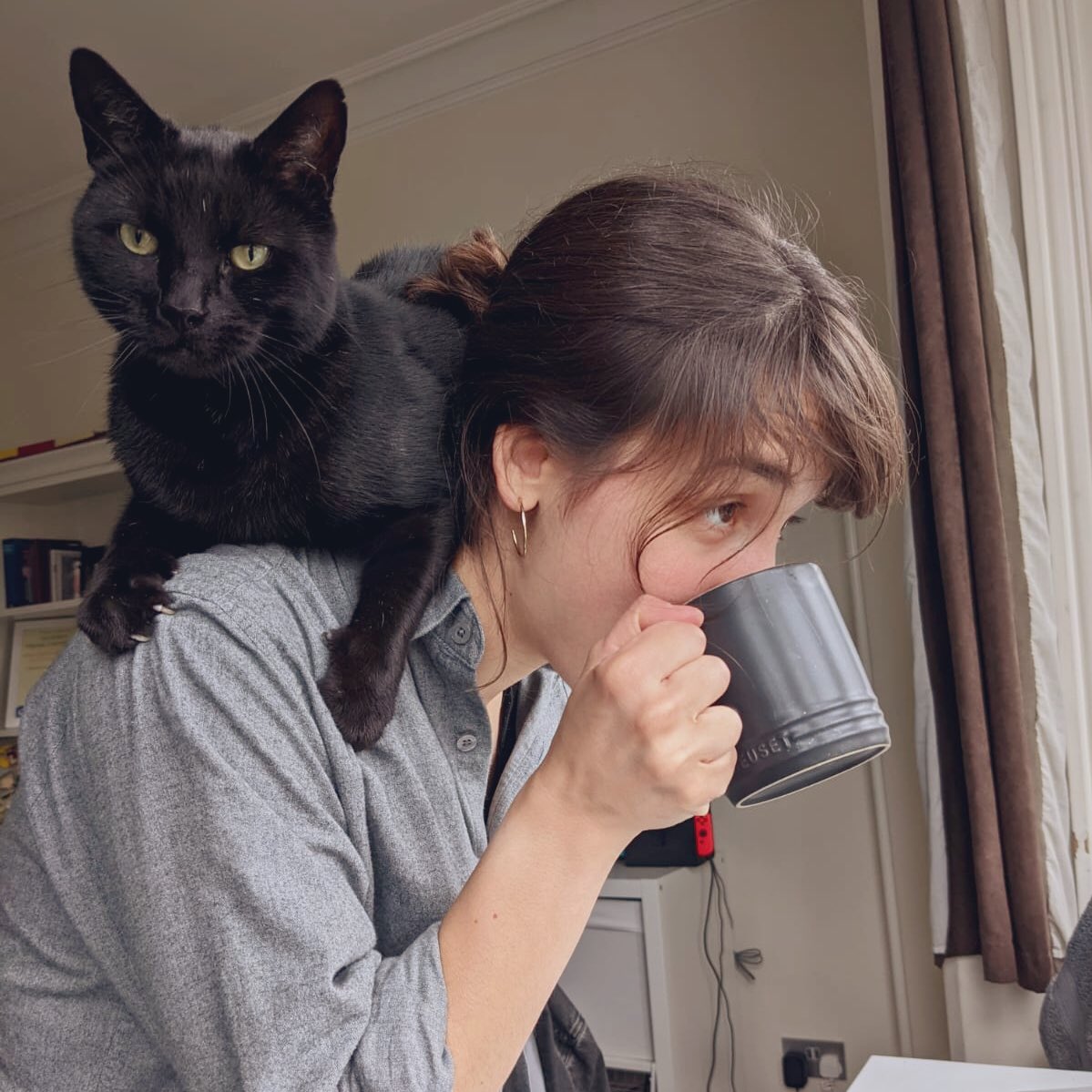 <a href="/_nazsimsek/">Naz Simsek</a> little black cat, Munish (government name, Pip)