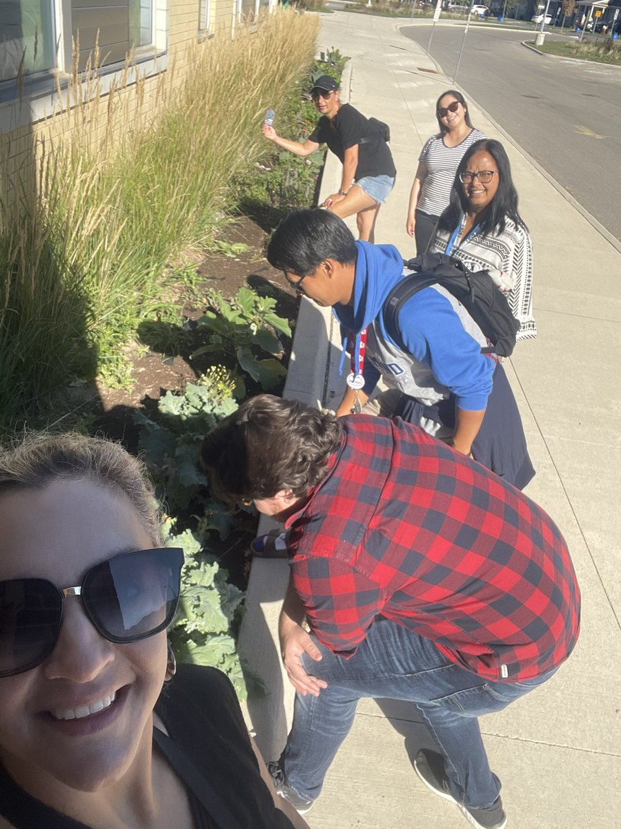 Butterfly Garden at Viola Desmond #violathisismewhoareyou #thinkingglobally @DesmondHDSB