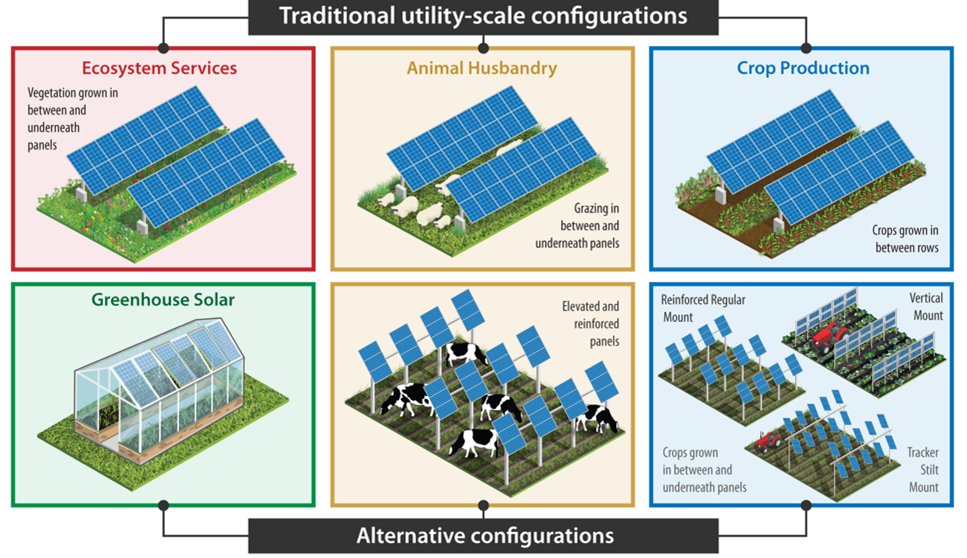 NatLabRockies's tweet photo. With #agrivoltaics, solar developers and land caretakers can benefit each other! 🐄 ☀️ Read more about the second phase of the @Energy Solar Energy Technologies Office’s #InSPIRE research and the synergies between #solarenergy and #agriculture. Learn more: https://t.co/OUsIV19MEG https://t.co/zT0EOKh8Bg