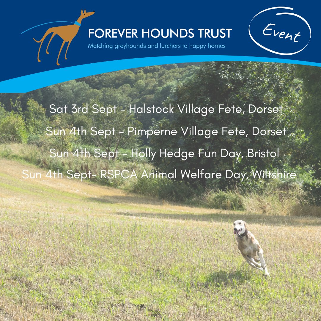 ForeverHoundsUK's tweet photo. We've got a packed calendar of events this weekend, attending various fun days in #Dorset, #Bristol and #Wiltshire. See our events page for more details - https://t.co/VFKPoX80OI
#helpthehounds #foreverhoundstrustevents https://t.co/4yv77VsUGH