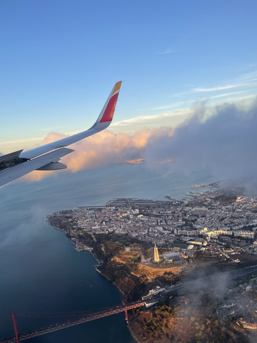 Mar Fuentes Lanning tweet media