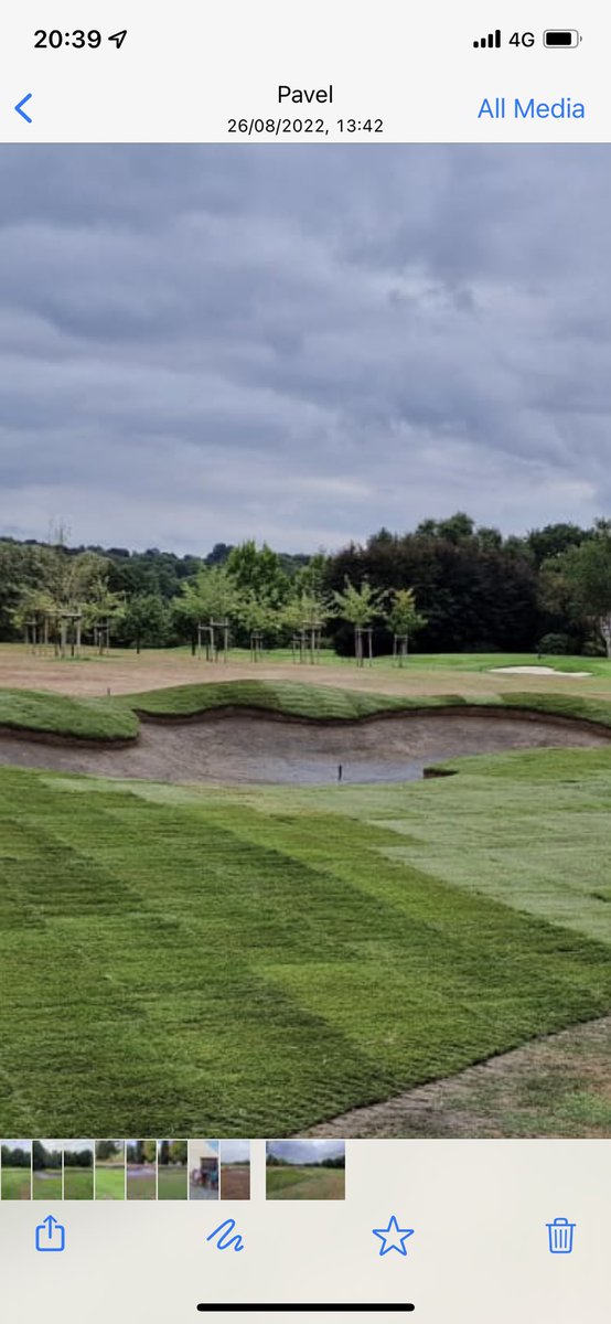 GolfLink tweet media