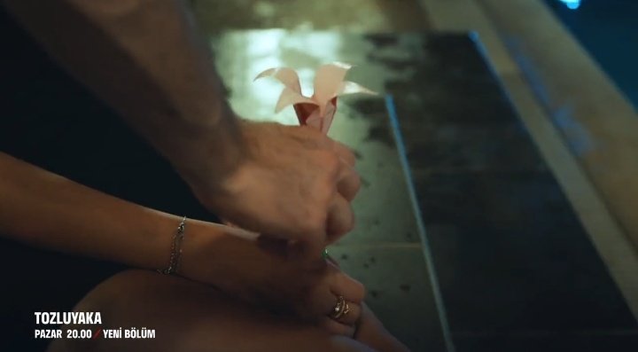 t_kalbi's tweet photo. Biz çiçeklendik, çok güzeliz 🌷😍 #ZeyÇağ

#Tozluyaka https://t.co/q0Me9TpL9e