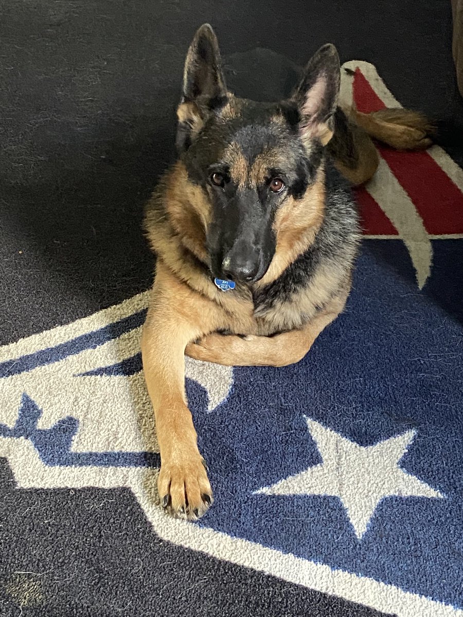 Val Sprague tweet media