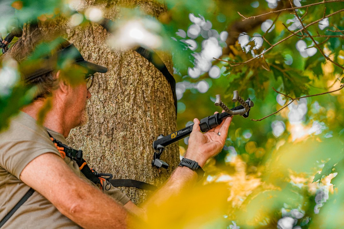 WTD_tv's tweet photo. When it comes to hanging tree arms, finding the right spot where there will be minimal movement when reaching for your gear is key.
#huntfromabove #HAWK #gsmoutdoors #deerhunting #hunting #huntingtip https://t.co/dJgTlFfKXJ