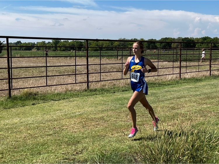 PkVikings's tweet photo. Medalists from the LCHS cross country meet: Kinsey Baldwin (2nd) and Maryssa Drummond (11th). https://t.co/1H1yPJRO39