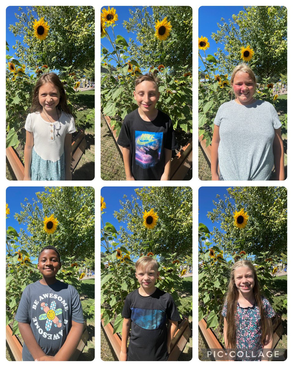 MrsMooney4th's tweet photo. Introducing our newest 4th graders! We're looking forward to a fantastic year! @AldenIntSchool https://t.co/7FpOlidrdU