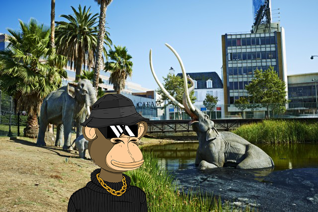 Brad the Frape is exploring LA. Let's see what your Frapes have been up to!