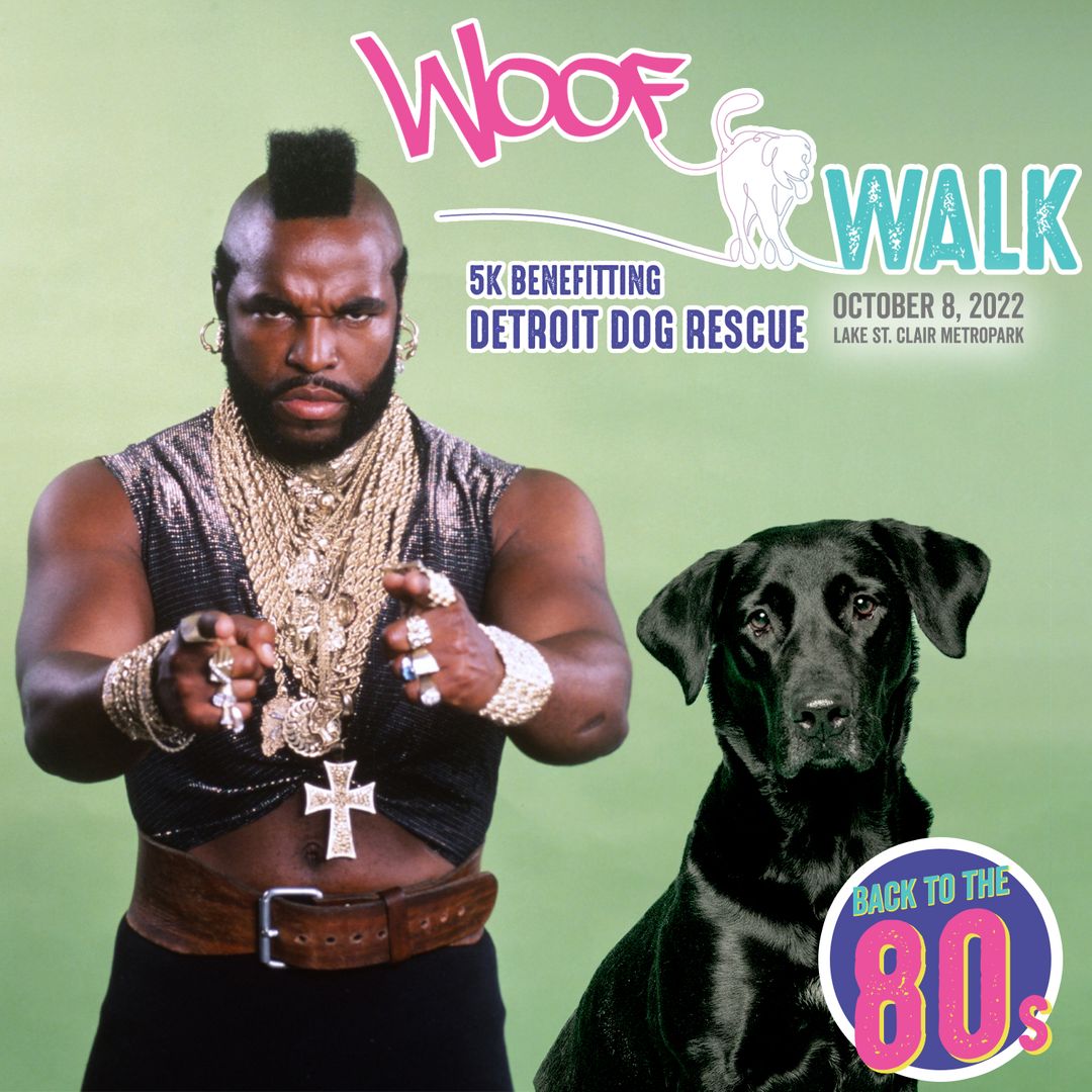 313dogrescue's tweet photo. We pity the fool who hasn't signed up for our Woof Walk 5K yet!
Join our totally tubular family + dog friendly 5K Oct. 8th! Don't forget to break out the scrunchies, tracksuits + BIG hair -- this #5K is 80's themed! 👩🏼🎤🐕
Register for the #WoofWalk here: https://t.co/Cmrr5lE04J https://t.co/WYKXPks1mF
