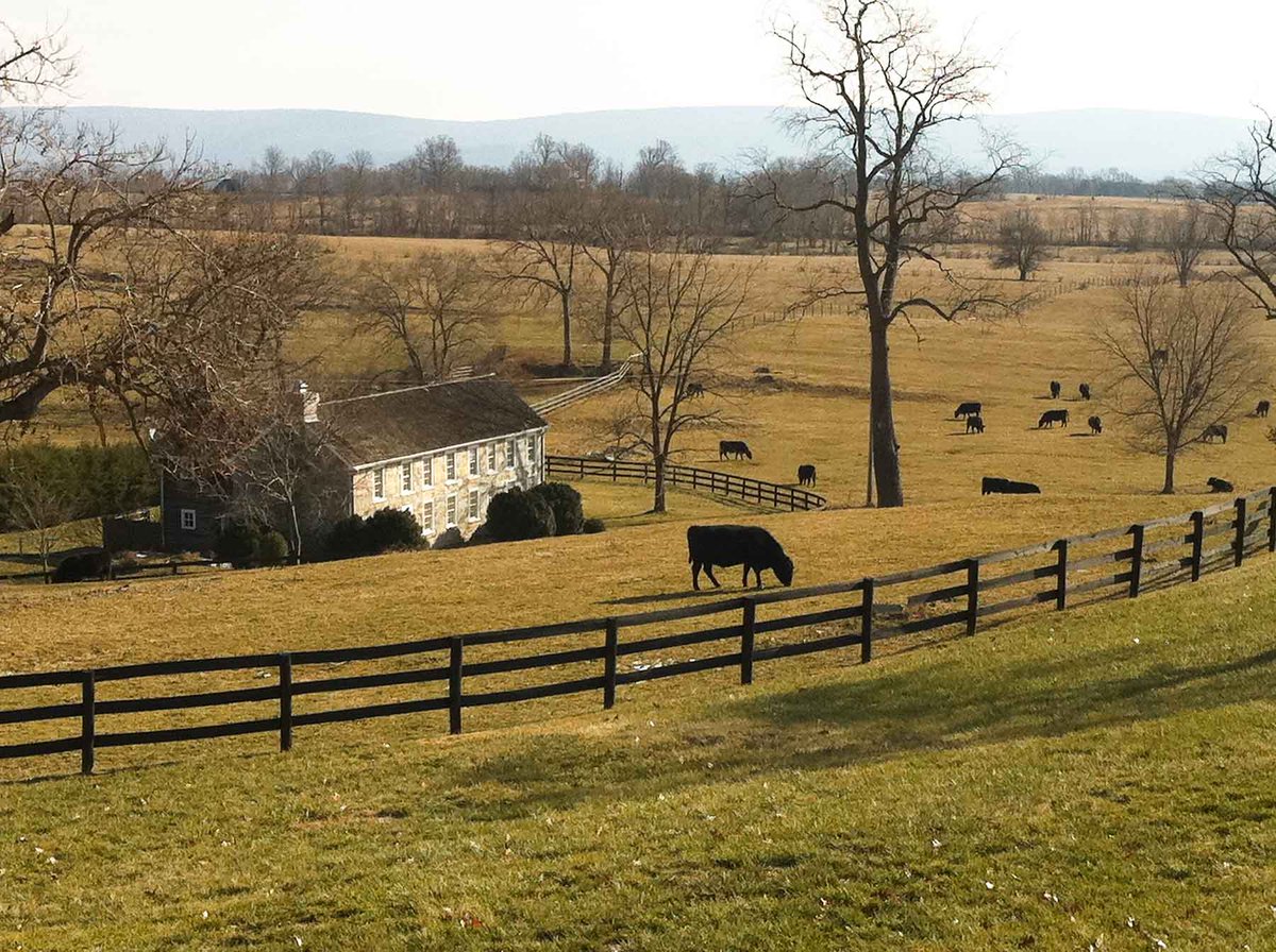 The Land Report on Twitter "AUCTION ALERT Clifton Farm Berryville