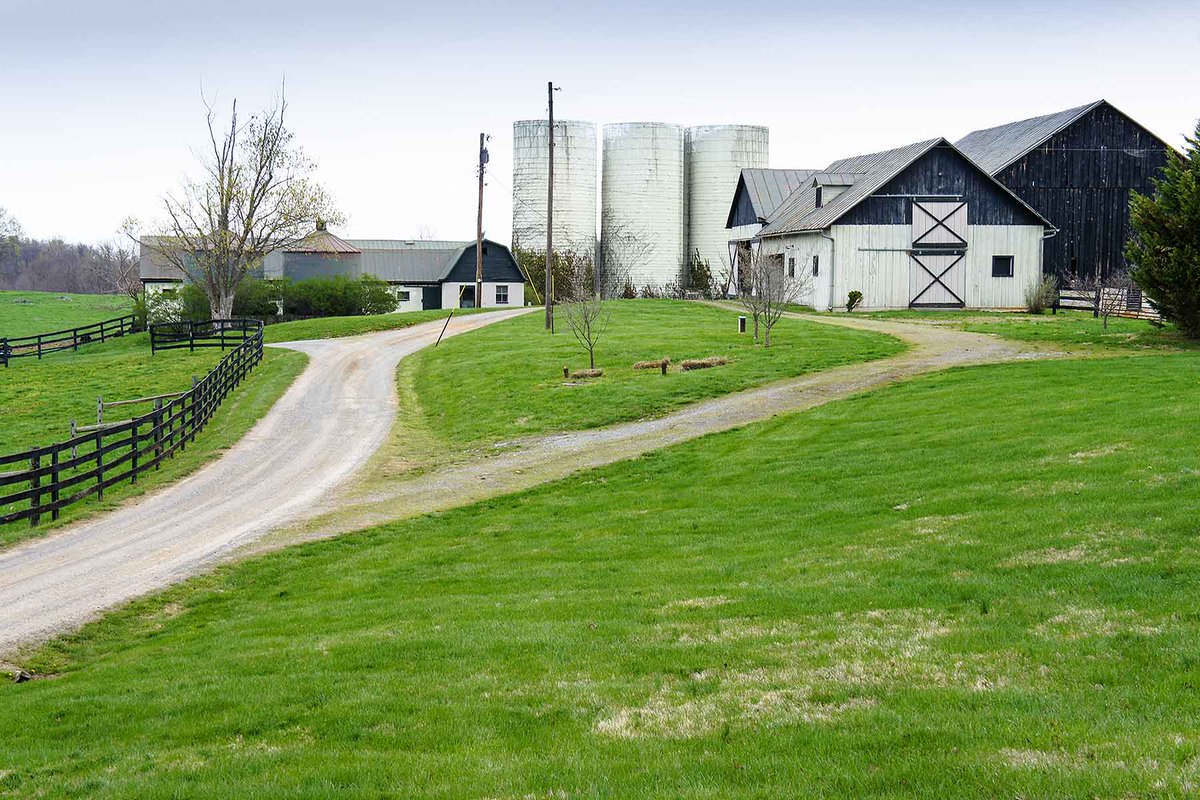 The Land Report on Twitter "AUCTION ALERT Clifton Farm Berryville