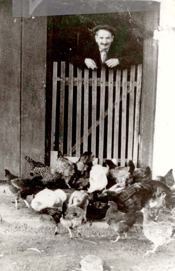 AuschwitzMuseum's tweet photo. 1 September 1890 | A Hungarian Jew, Sándor Stern, was born in Veszprém.

In 1944 he was deported to #Auschwitz and murdered in a gas chamber. https://t.co/dhHa1adEjO