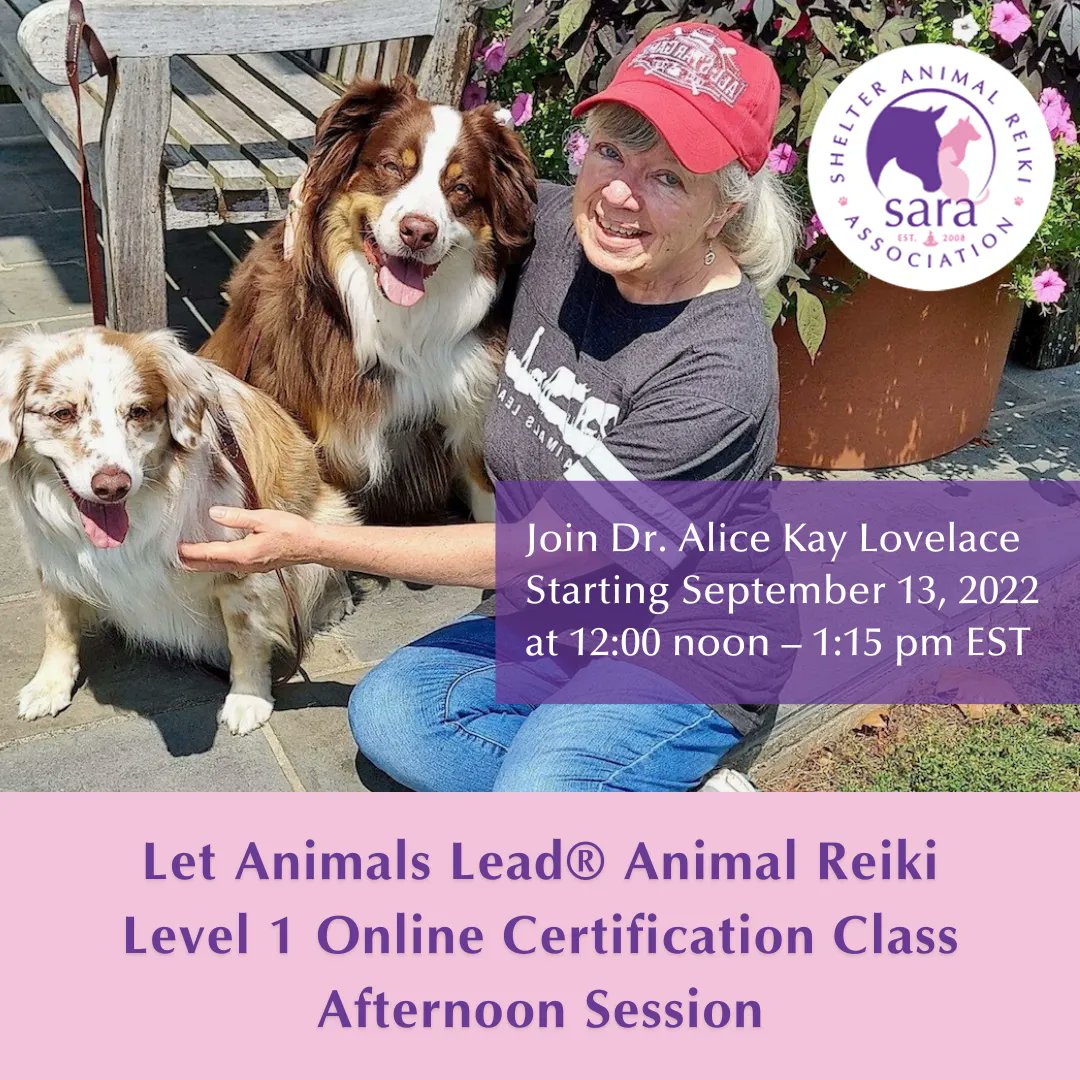 SARA_news's tweet photo. 🧘‍♀️ Do you want to learn about connecting and healing with the animals in your life in a gentle, meditation-based manner? Email Dr. Alice Kay Lovelace to Register + For More Info at aklovelace714@gmail.com #AnimalReiki #ReikiClass https://t.co/tMvDsHWtRn
