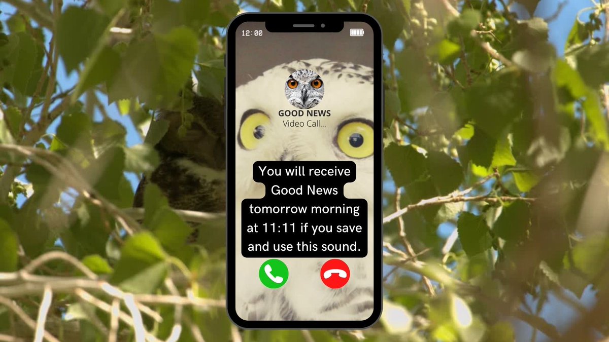 manifestingcat_'s tweet photo. https://t.co/AwyYP0jyII #lawofabundance #affirmationoftheday #manifestingmagic #manifestingabundance #sourcemessages #mantraoftheday #affirmationsoftheday #affirmationpositive #manifestationcoach #lawofattractionplanner #universalguidance #trentsheltonquotes #metafestation https://t.co/Kz6yLzVKmu