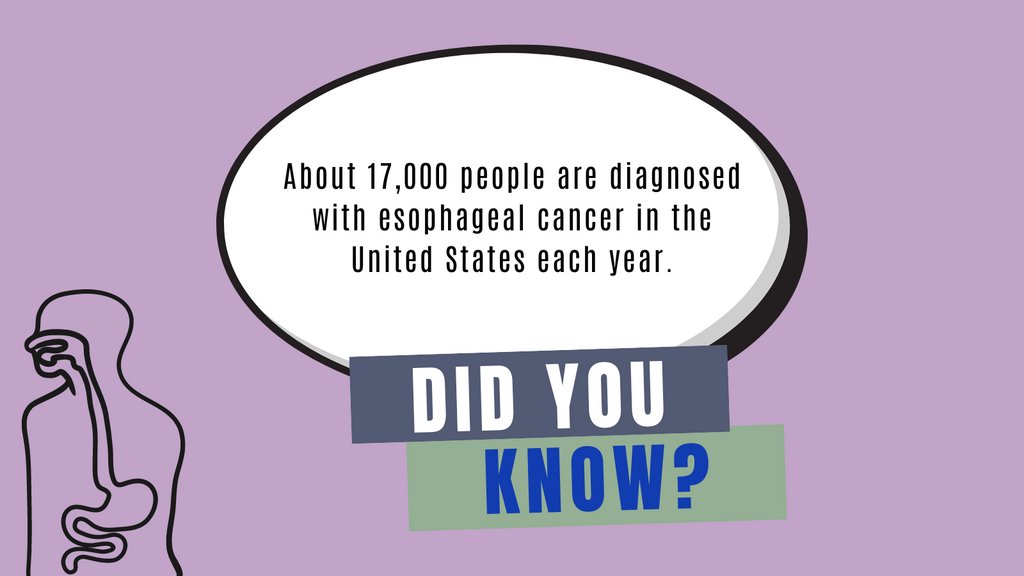 TampaBayReflux tweet media