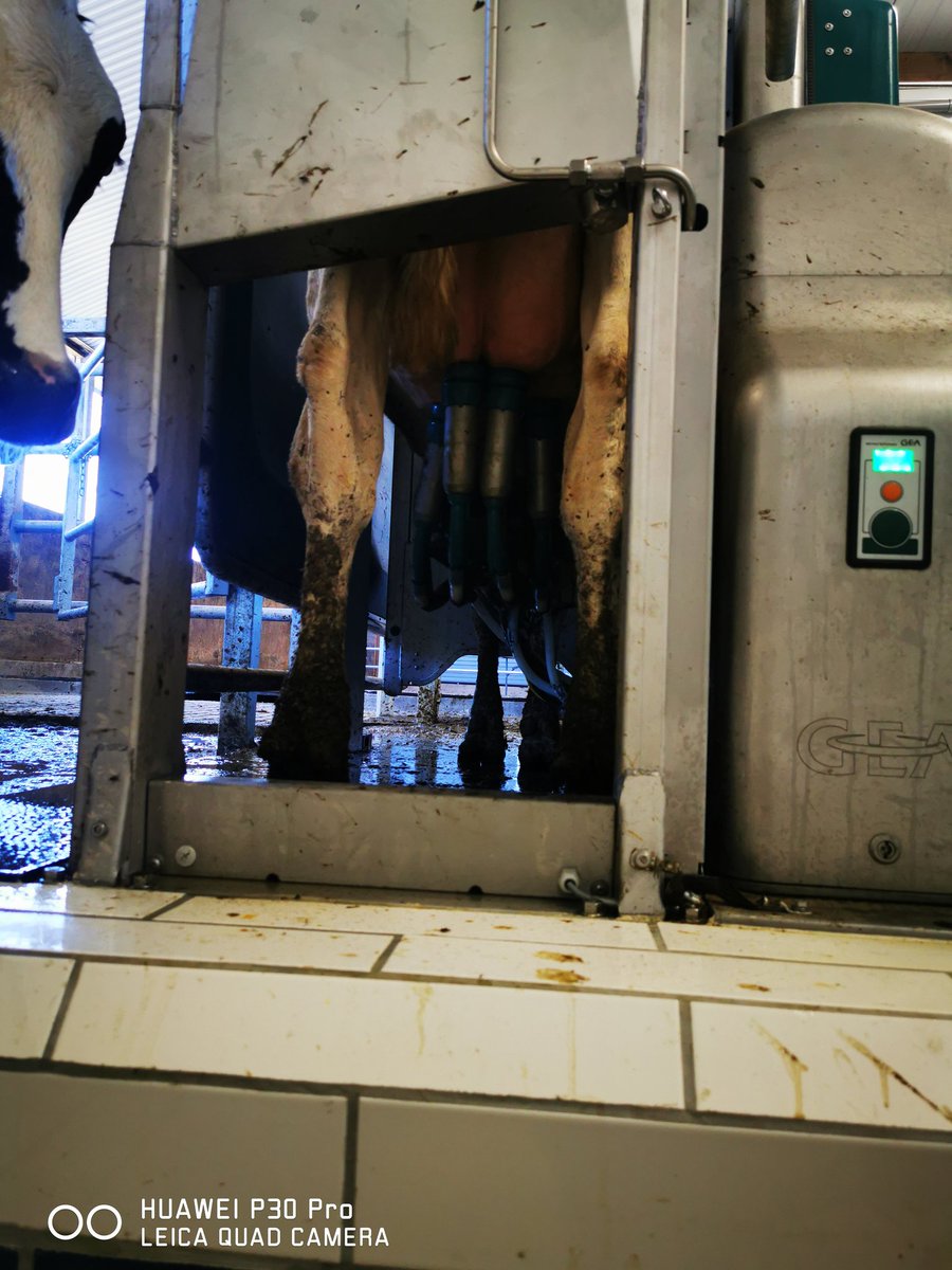 Nelson74 tweet media