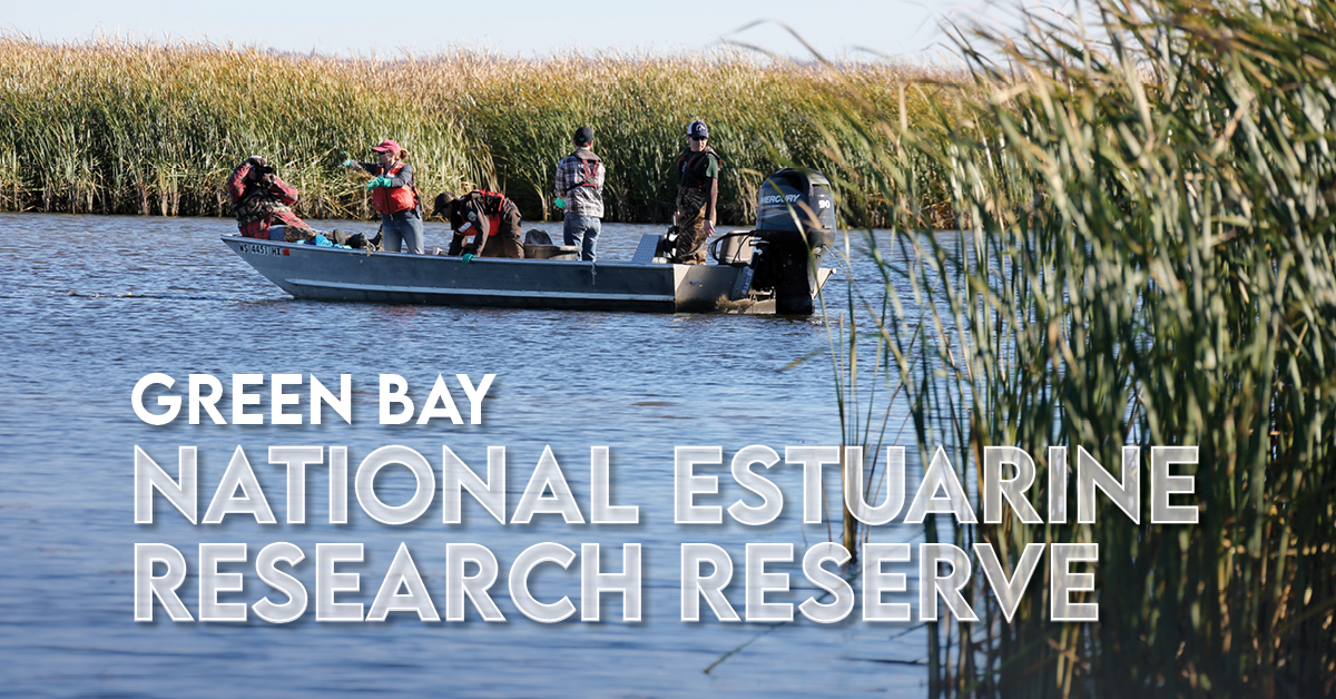 GreenBayNERR's tweet photo. Sept 7 &amp; 8 Join us to hear about the preliminary recommended sites for the natural areas of the @realGreenBay NERR
More information about the meetings https://t.co/E0ITfILgI0
A map of the preliminary recommended sites  https://t.co/iLrPp7bdbu

@Estuaries4Life https://t.co/j92C7LmO8d