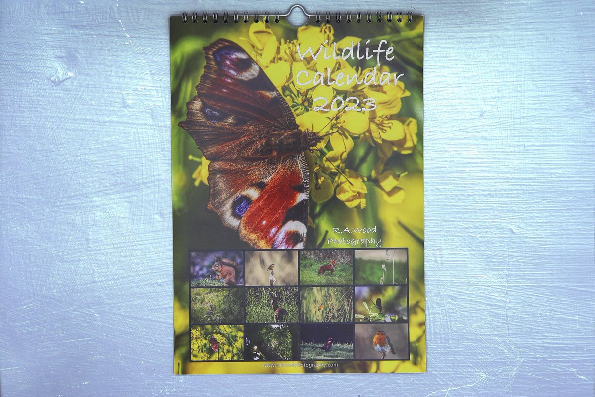 RAWoodPhotos's tweet photo. Excited to share this item from my #etsy shop: Wildlife Calendar 2023 by R.A.Wood Photography #wildlifecalendar https://t.co/UMJ79DYIuK https://t.co/HQotVnEdWK