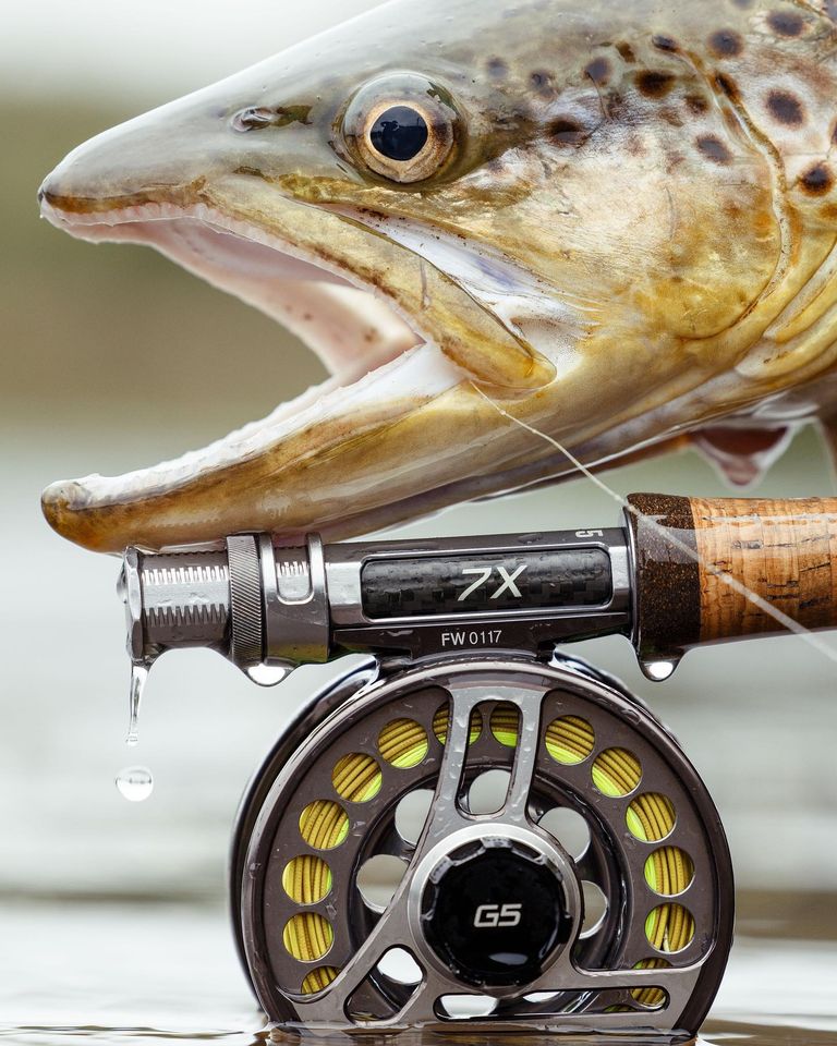 FFTCOUK's tweet photo. #LoopTackle #flyfishing #FlyRod #loop7x #troutrod
LOOP 7X SINGLE HAND FLY RODS
19 med-fast and fast action rods from 10ft 2wt to 9ft 12wt
With accelerated and rapid rod dampening during the energy transitions of a casting cycle.
From a UK Pro Shop HERE >>>https://t.co/7pD0AXBDqy https://t.co/CUDXVdFILt
