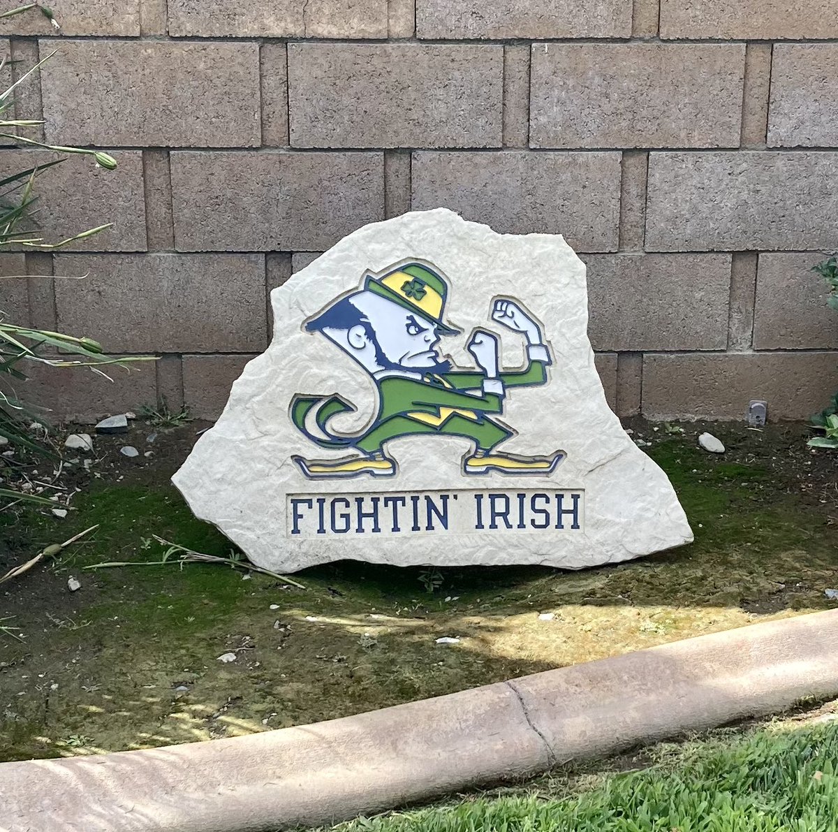 Michael75142777's tweet photo. Go Irish!Beat the Buckeyes! https://t.co/ZsfPdW8s71