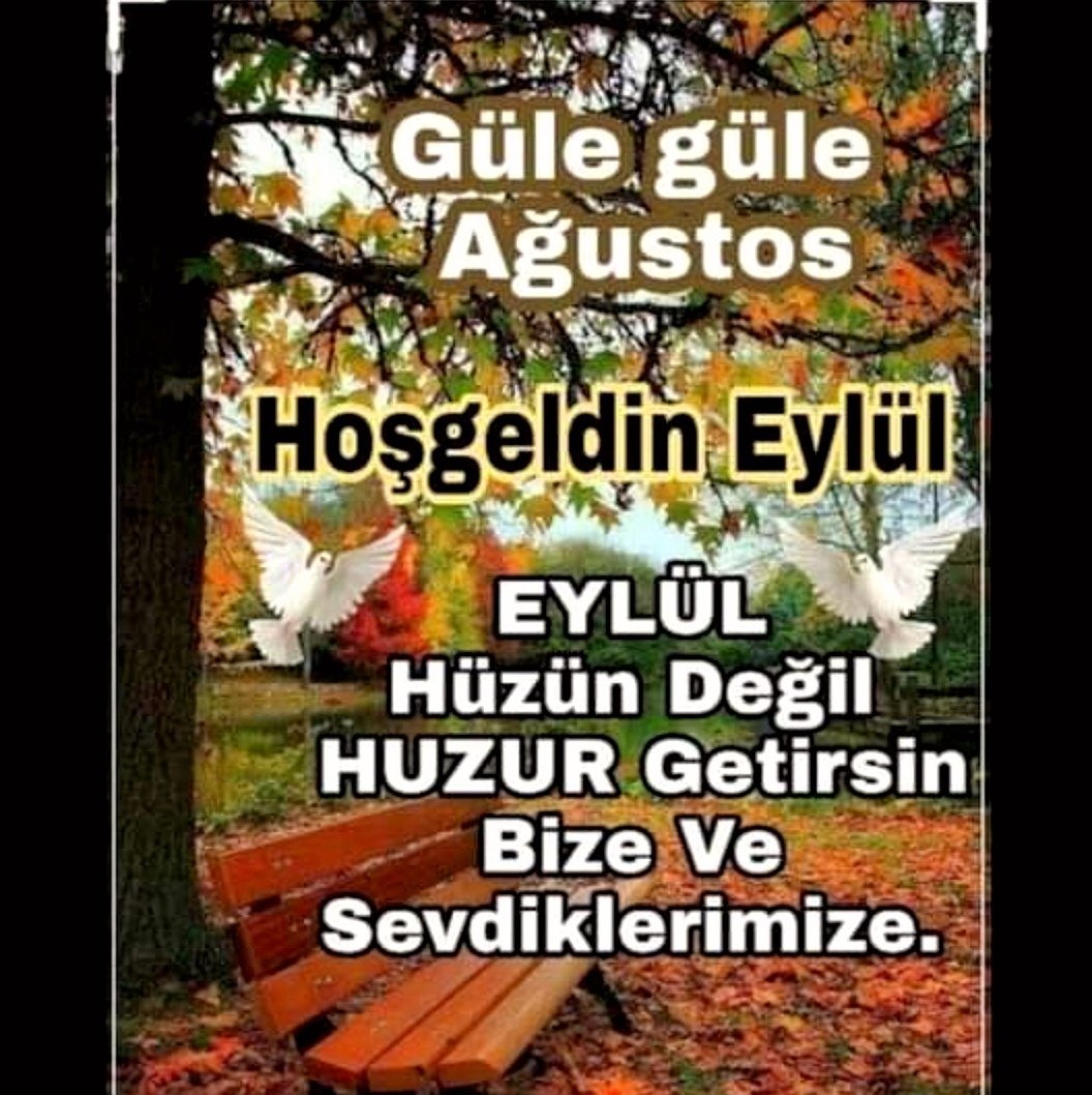 MustafaCego2's tweet image. 