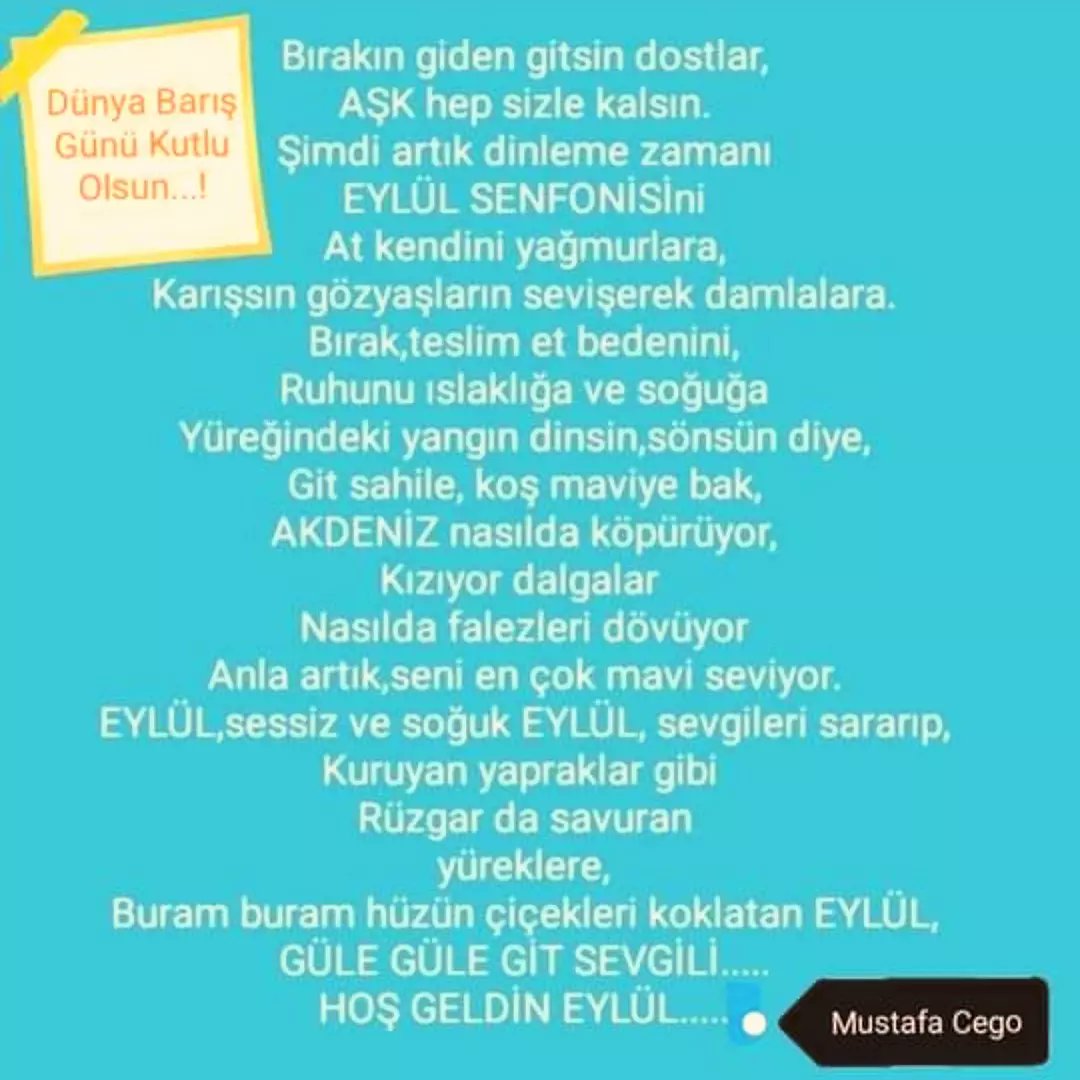 MustafaCego2's tweet image. 