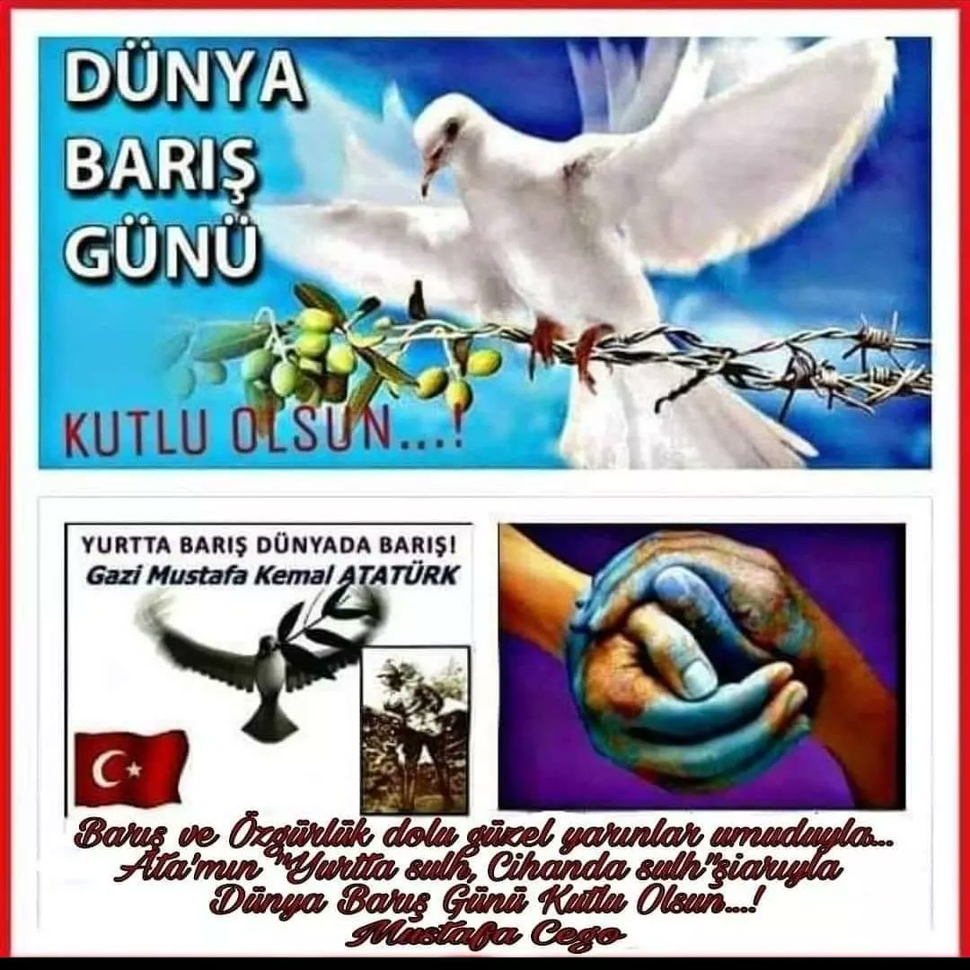 MustafaCego2's tweet image. 