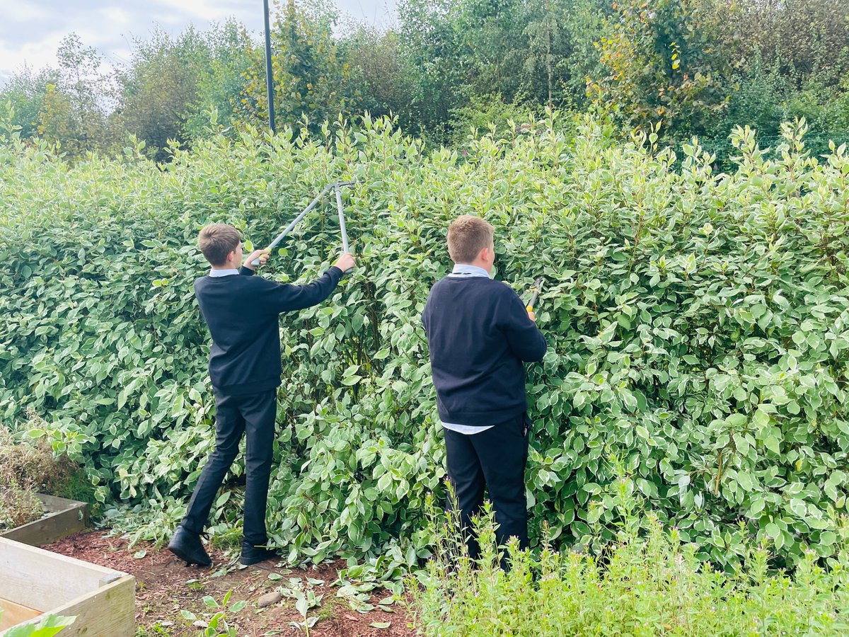 Garnock_club's tweet photo. The GROW team back to work in the school garden. 🖌️🌳🍓🌿🌱#ruralskills #outdoor #gardening #skills #project #fantasticpupils #garnockcommunitycampus #garnock https://t.co/kIzZWqUEK2