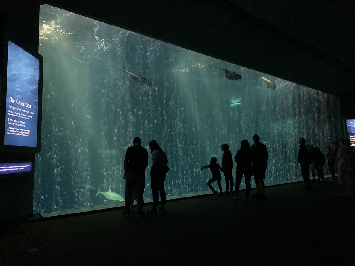 “We got no troubles, life is the bubbles under the sea”