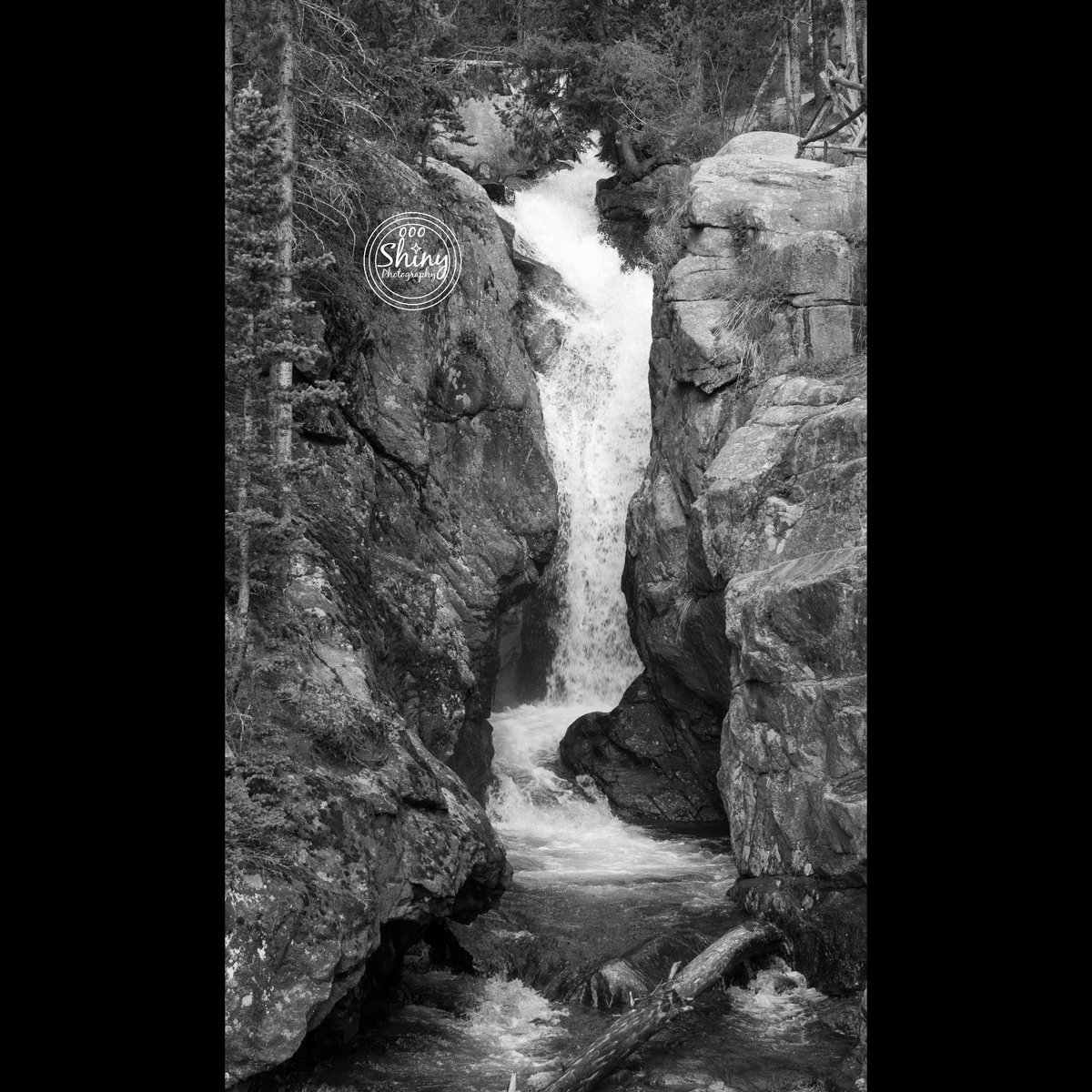 oooshinyphotos's tweet photo. Chasm Falls, in black and white.
Rocky Mountain National Park, Colorado.
~
~
~
~
~
#ChasmFalls #blackandwhite #RockyMountainNationalPark #Colorado #bnw #landscape #waterfall #RMNP #water #trees #rocks #nature #natural #CanonFavPic #photography #NatGeoYourShot https://t.co/BKF0Z5gBY7