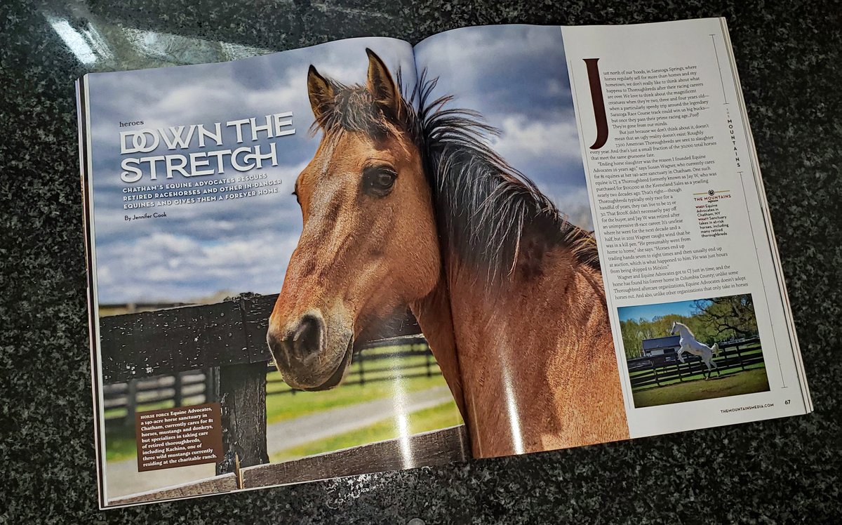 We're blown away by this wonderful article about our organization in the premiere issue of The Mountains magazine! How stunning does Kachina look across these pages? READ HERE: issuu.com/themountains/d… You can find copies in stores 'from the Catskills to the Berkshires.'