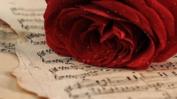 BorBa3333's tweet photo. 🌹
" 'Tis Last Rose of Summer "
        CLANNAD

https://t.co/AzPZO3a8Rv

' 'Tis the last rose of summer
left blooming all alone,
all her lovely companions
are faded and gone..
  No flower of her kindred,
no rosebud is nigh
to reflect back her blushes
and give sigh for sigh ...' https://t.co/Mtyq7piD3J